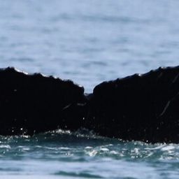 Fluke of floating pier