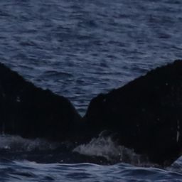Fluke of HW-MN0444157