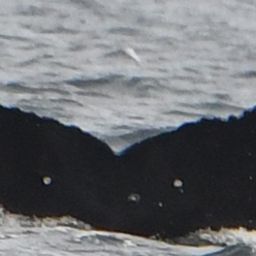 Fluke of HW-MN0444159