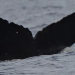 Fluke of HW-MN0444201