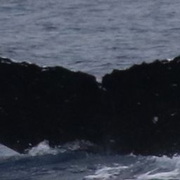 Fluke of HW-MN0444204