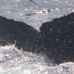Fluke of HW-MN0444229