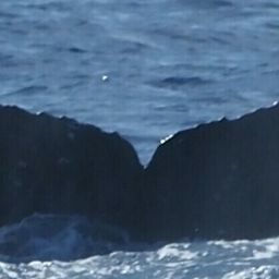 Fluke of HW-MN0444232