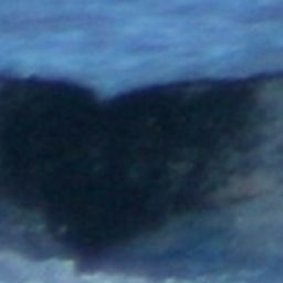 Fluke of Coralie