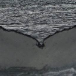 Fluke of HW-MN1304874