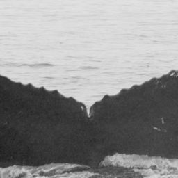 Fluke of CRC-10694