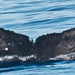 Fluke of HW-MN0444289