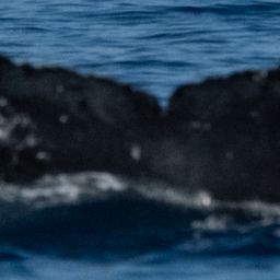 Fluke of HW-MN0444300