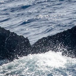 Fluke of HW-MN0444371