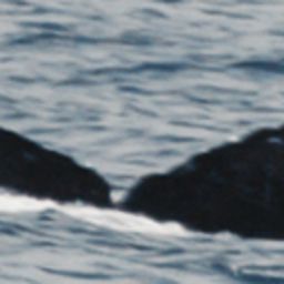 Fluke of HW-MN0444402