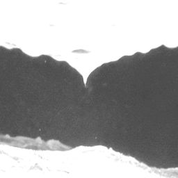 Fluke of CRC-15861