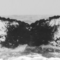 Fluke of CRC-15809