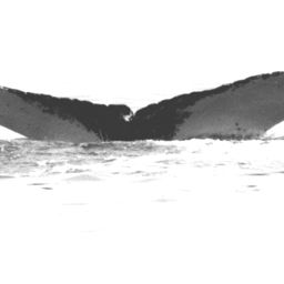 Fluke of NA-7254