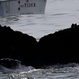 Fluke of Toboggan