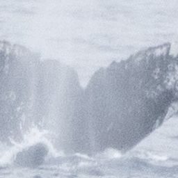 Fluke of HW-MN1304924