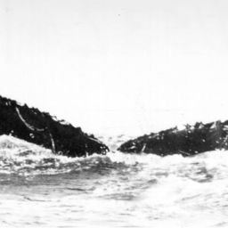 Fluke of NA-7425