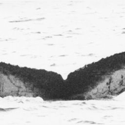 Fluke of Cacophony