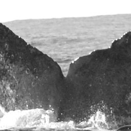 Fluke of CRC-15740