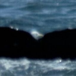 Fluke of HW-MN0410636