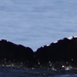Fluke of HW-MN0401481