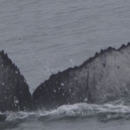 Fluke of CRC-21148