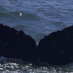 Fluke of CRC-21729
