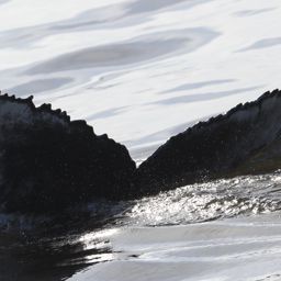 Fluke of CRC-21770