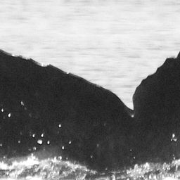 Fluke of CRC-11863