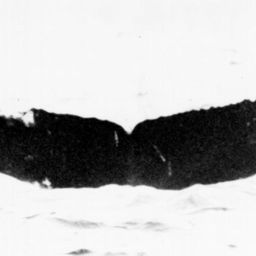 Fluke of NA-7560