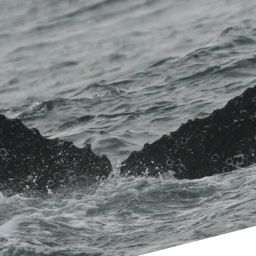 Fluke of MRIWU-00131