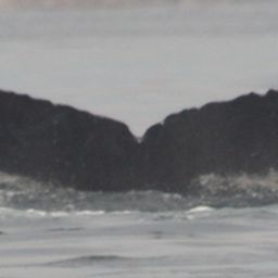 Fluke of CRC-10017
