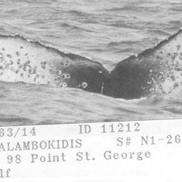 Fluke of CRC-11212