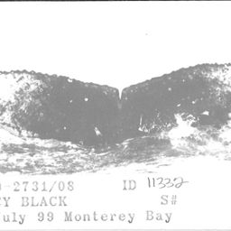 Fluke of CRC-11332