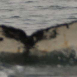Fluke of HW-MN1305220