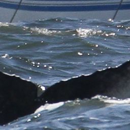Fluke of CRC-16624