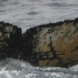 Fluke of HW-MN1305407