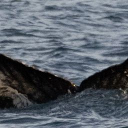 Fluke of HW-MN0200502