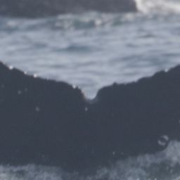 Fluke of CRC-21878