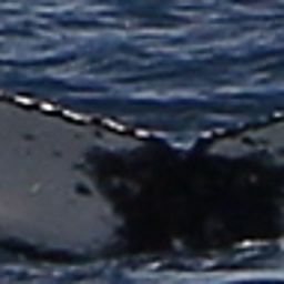 Fluke of HW-MN1106824