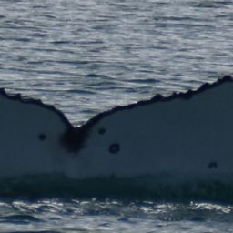 Fluke of HW-MN1107027