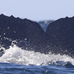 Fluke of CRC-22107