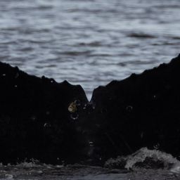 Fluke of CRC-22106