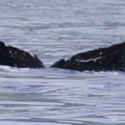 Fluke of HW-MN0444633