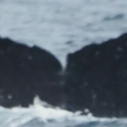 Fluke of HW-MN0444669