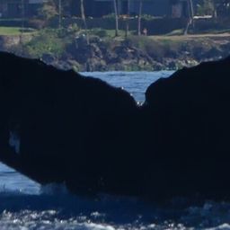 Fluke of HW-MN0444698