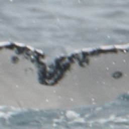 Fluke of HW-MN1107075