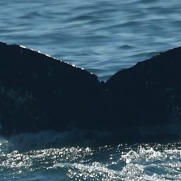 Fluke of CRC-22487