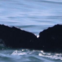 Fluke of Stanchions