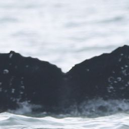 Fluke of CRC-21044