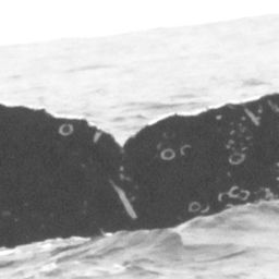 Fluke of CRC-12346